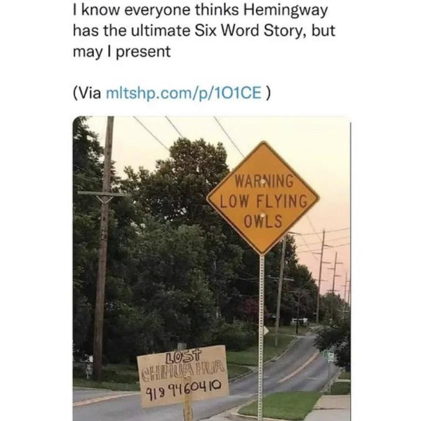 cool pics and memes - street sign - I know everyone thinks Hemingway has the ultimate Six Word Story, but may I present Via mltshp.comp101CE Warning Low Flying Owls Lost Chihuahua 919 9460410