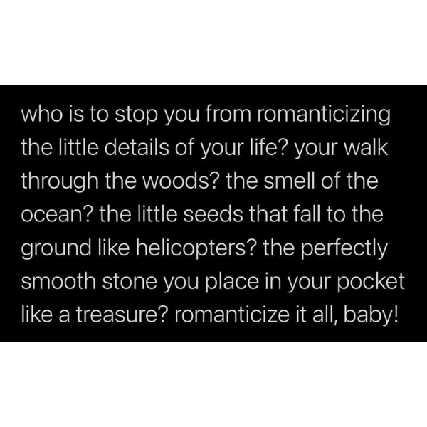 cool pics and memes - Photograph - who is to stop you from romanticizing the little details of your life? your walk through the woods? the smell of the ocean? the little seeds that fall to the ground helicopters? the perfectly smooth stone you place in yo