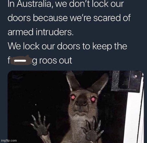 cool pics and memes - we lock our doors to keep the roos out - In Australia, we don't lock our doors because we're scared of armed intruders. We lock our doors to keep the f g roos out imgflip.com