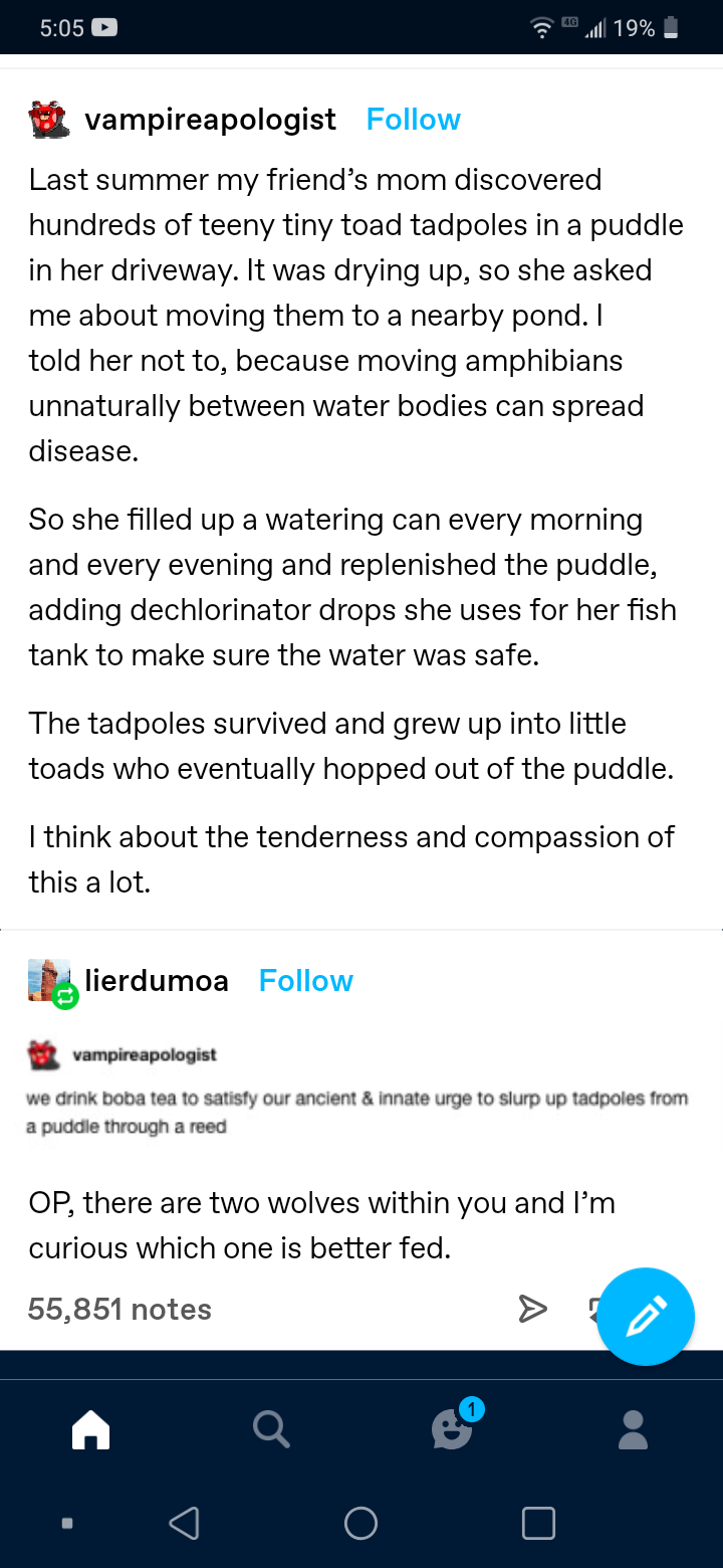 cool pics and memes - screenshot - vampireapologist Last summer my friend's mom discovered hundreds of teeny tiny toad tadpoles in a puddle in her driveway. It was drying up, so she asked me about moving them to a nearby pond. I told her not to, because m