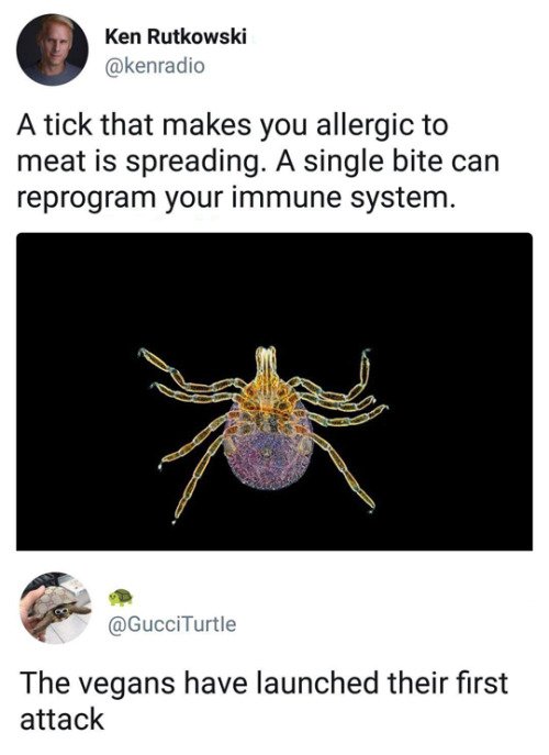 cool pics and memes - decapoda - Ken Rutkowski A tick that makes you allergic to meat is spreading. A single bite can reprogram your immune system. The vegans have launched their first attack