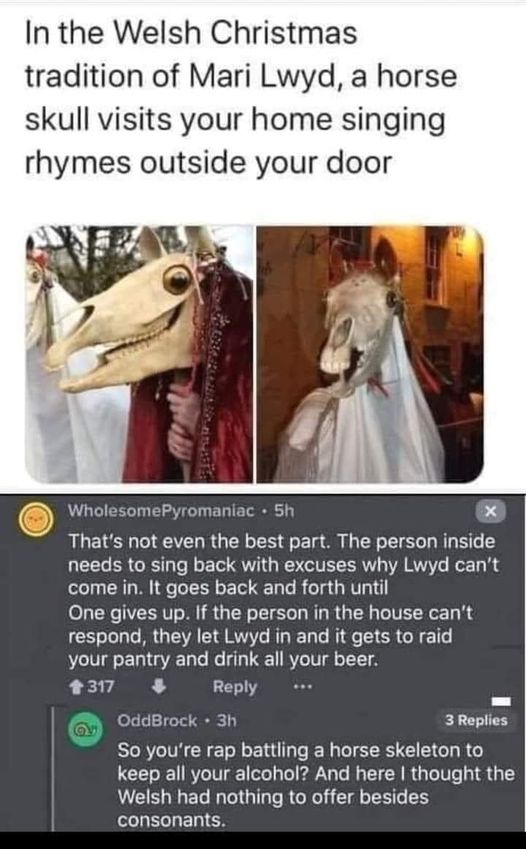 funny pics and memes - welsh christmas horse skull - In the Welsh Christmas tradition of Mari Lwyd, a horse skull visits your home singing rhymes outside your door WholesomePyromaniac. 5h X That's not even the best part. The person inside needs to sing ba