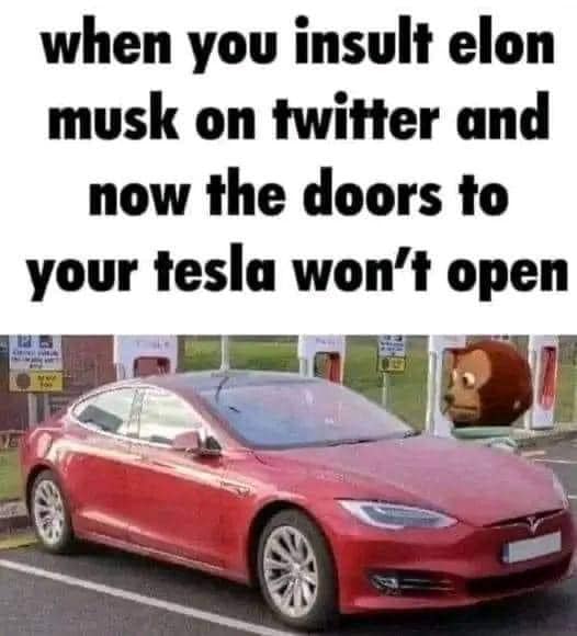 funny pics and memes - tesla model s - when you insult elon musk on twitter and now the doors to your tesla won't open