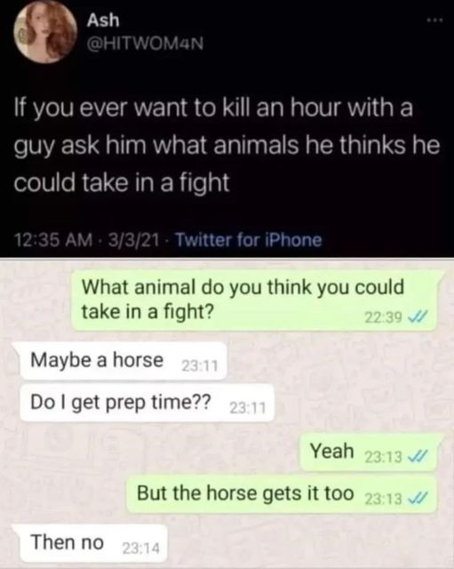 funny pics and memes - horse get prep time - Ash If you ever want to kill an hour with a guy ask him what animals he thinks he could take in a fight 3321 Twitter for iPhone What animal do you think you could take in a fight? Maybe a horse Do I get prep ti