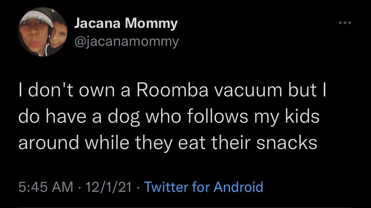 pics and memes daily dose - suck at the talking stage - Jacana Mommy I don't own a Roomba vacuum but I do have a dog who s my kids around while they eat their snacks 12121 Twitter for Android