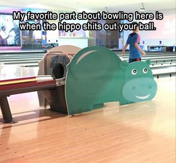 pics and memes daily dose - My favorite part about bowling here is when the hippo shits out your ball.