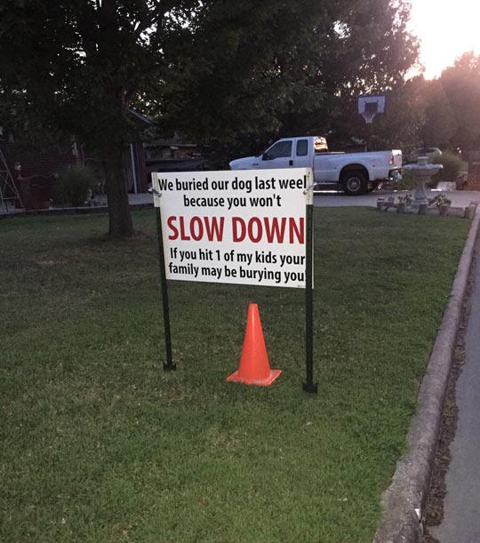 pics and memes daily dose - slow down signs for neighborhoods - We buried our dog last weel because you won't Slow Down If you hit 1 of my kids your family may be burying you
