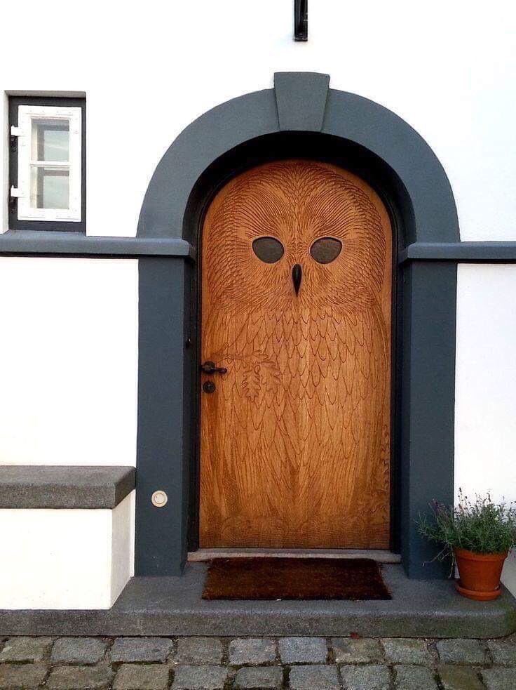 pics and memes daily dose - owl door copenhagen