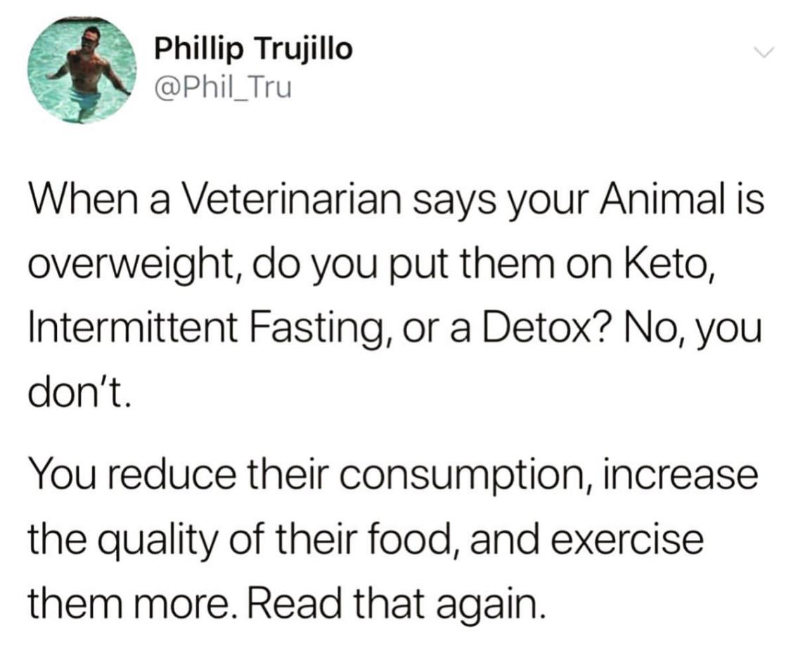 pics and memes daily dose - go back to your ex then meme - Phillip Trujillo When a Veterinarian says your Animal is overweight, do you put them on Keto, Intermittent Fasting, or a Detox? No, you don't. You reduce their consumption, increase the quality of