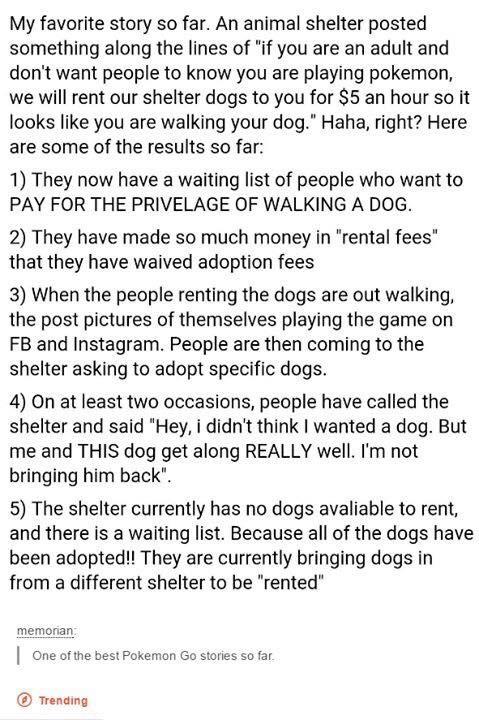 increased - My favorite story so far. An animal shelter posted something along the lines of "if you are an adult and don't want people to know you are playing pokemon, we will rent our shelter dogs to you for $5 an hour so it looks you are walking your do