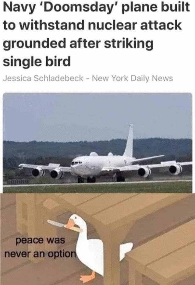 pics and memes daily dose - airline - Navy 'Doomsday' plane built to withstand nuclear attack grounded after striking single bird Jessica Schladebeck New York Daily News peace was never an option