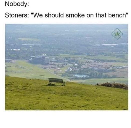 pics and memes daily dose - we should smoke on that bench meme - Nobody Stoners "We should smoke on that bench"