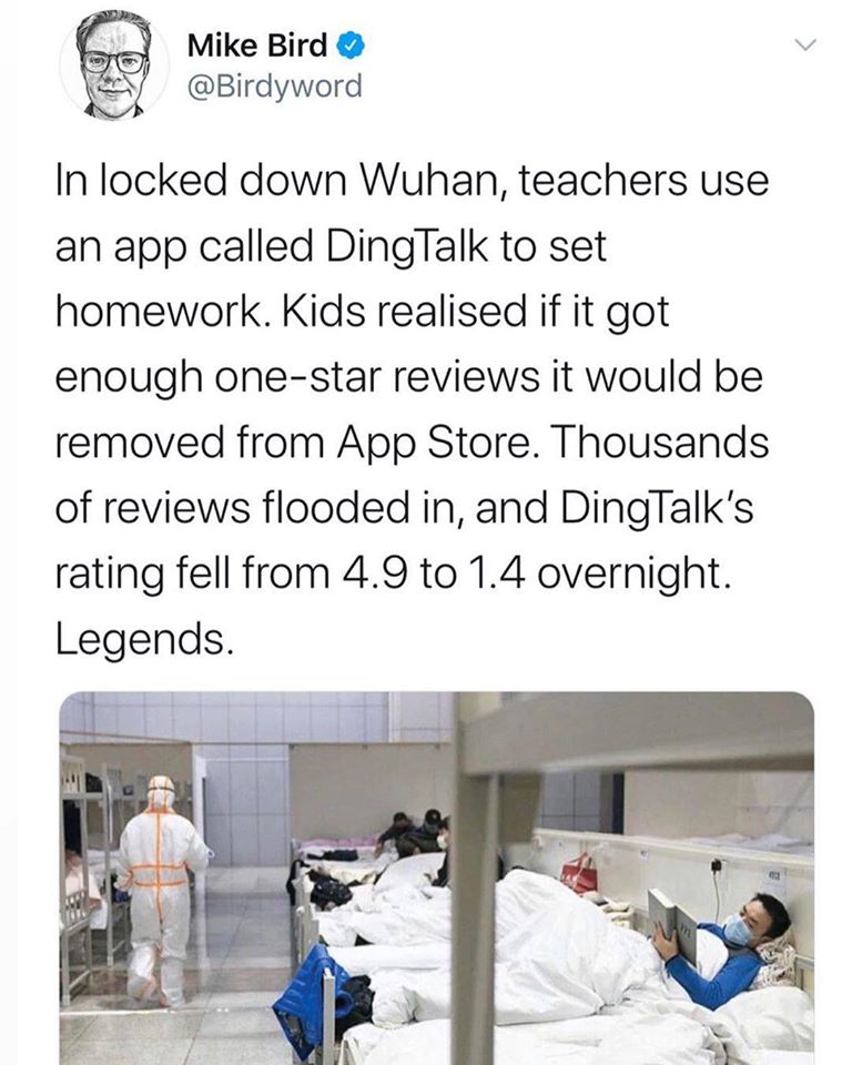 awesome pics and memes - material - Mike Bird In locked down Wuhan, teachers use an app called DingTalk to set homework. Kids realised if it got enough onestar reviews it would be removed from App Store. Thousands of reviews flooded in, and DingTalk's rat