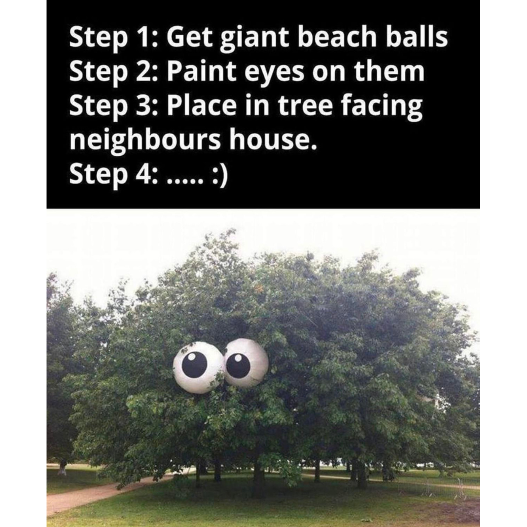 awesome pics and memes - googly eyes in tree - Step 1 Get giant beach balls Step 2 Paint eyes on them Step 3 Place in tree facing neighbours house. Step 4 .....