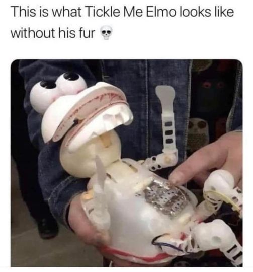 funny memes and random pics - tickle me elmo without fur - This is what Tickle Me Elmo looks without his fur