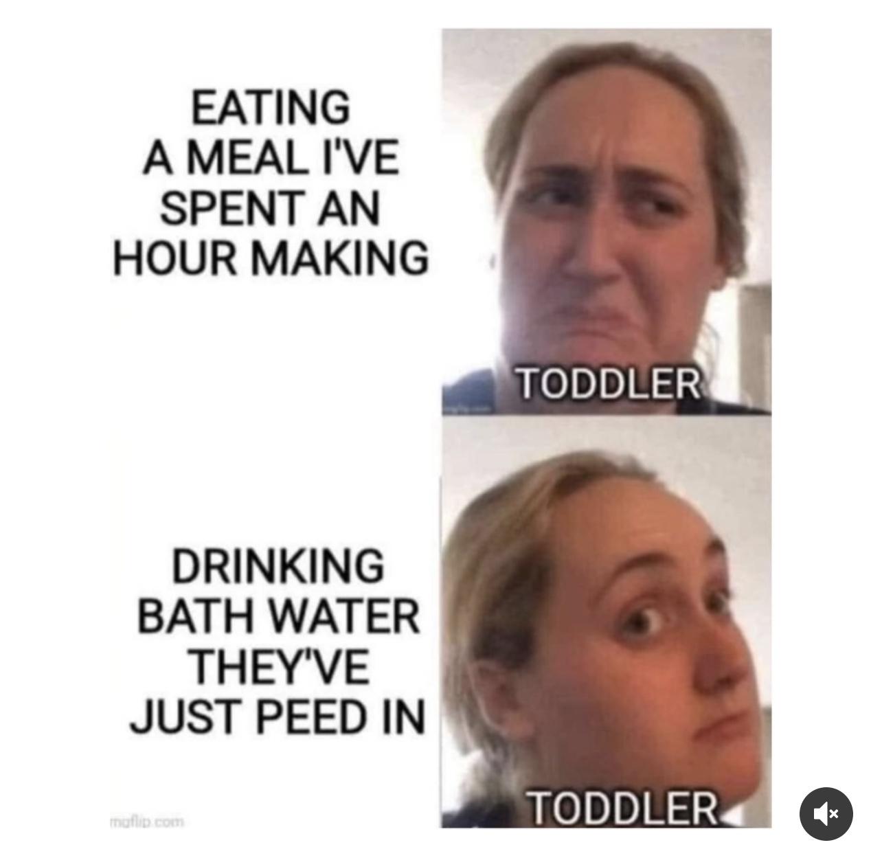 funny memes and random pics - head - Eating A Meal I'Ve Spent An Hour Making Drinking Bath Water They'Ve Just Peed In traflip. comm Toddler Toddler