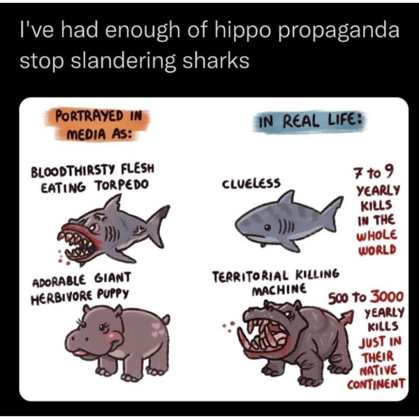 monday morning randomness - shark hippo - I've had enough of hippo propaganda stop slandering sharks Portrayed In Media As Bloodthirsty Flesh Eating Torpedo Adorable Giant Herbivore Puppy In Real Life Clueless Territorial Killing Machine 7 to 9 Yearly Kil