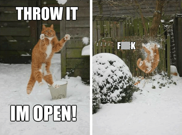 winter is coming meme - Throw It Im Open! Fk