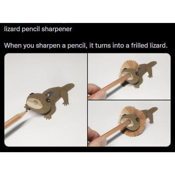pencel sharpener memes - lizard pencil sharpener When you sharpen a pencil, it turns into a frilled lizard.
