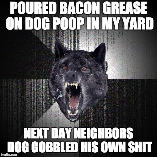 ireland - Poured Bacon Grease On Dog Poop In My Yard juny Next Day Neighbors Dog Gobbled His Own Shit imgflip.com