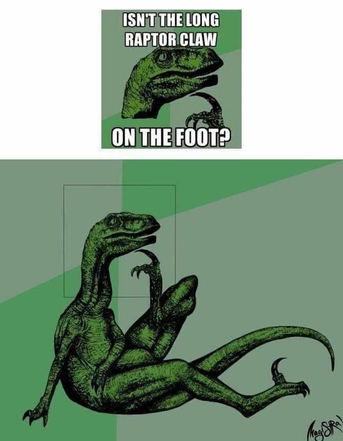 raptor meme - They Art Isn'T The Long Raptor Claw On The Foot? fagistral