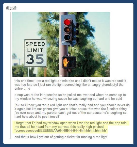 text post running a red light - digryff Speed Limit 35 this one time I ran a red light on mistake and I didn't notice it was red until it was too late so I just ran the light screeching an angry pterodactyl the entire time a cop was at the intersection so