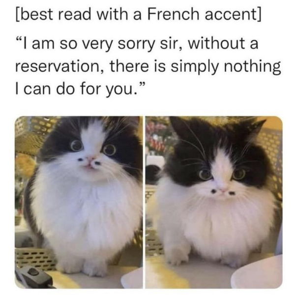 funny random pics and memes - am so very sorry sir without a reserv - best read with a French accent "I am so very sorry sir, without a reservation, there is simply nothing I can do for you."