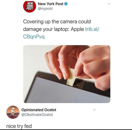 funny random pics and memes - twitter feds meme - New New York Post Post Covering up the camera could damage your laptop Apple trib.al CBanPvq Opinionated Ocelot nice try fed >