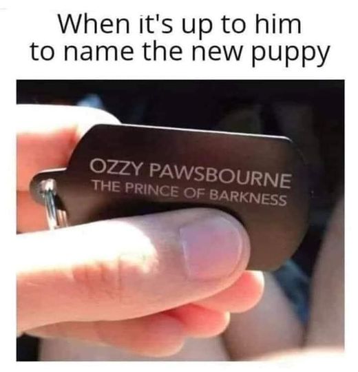 funny and random pics - ozzy pawsbourne - When it's up to him to name the new puppy Ozzy Pawsbourne The Prince Of Barkness