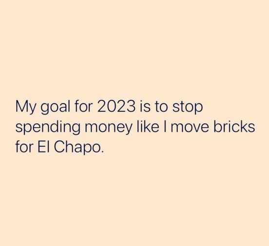 funny and random pics - My goal for 2023 is to stop spending money I move bricks for El Chapo.
