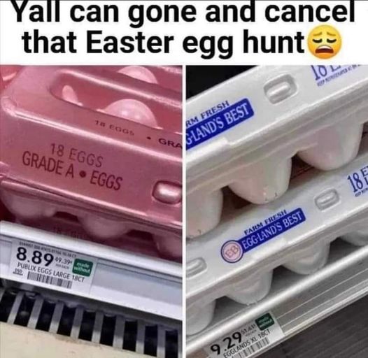 funny randoms and pics - Egg - Yall can gone and cancel that Easter egg hunt 18 Eggs Grade A Eggs 8.89 withd Publix Eggs Large 18CT 152 18 Eggs No Rm Fresh GLand'S Best Gra Farm Fresh Eb EggLand'S Best 51.41 Egglands Xl 18CT 9.29 10 0 18 E Cen
