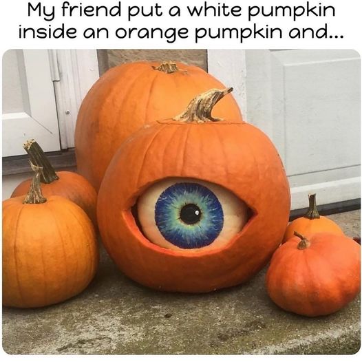 funny and svage memes - winter squash - My friend put a white pumpkin inside an orange pumpkin and...