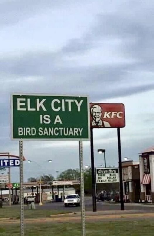 funny and svage memes - street sign - Elk City Is A Bird Sanctuary Ited Kfc drive thru There Back 201 Dollar Family Fillep