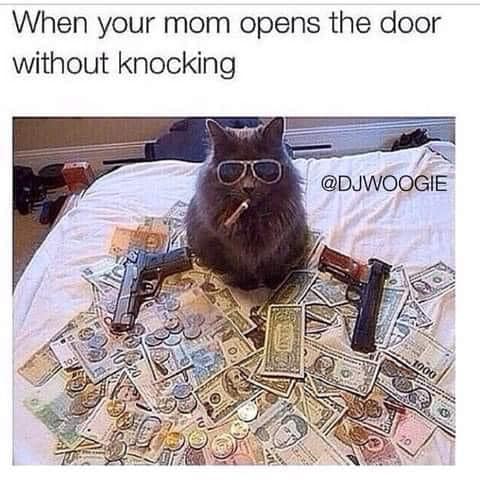 funny and svage memes - all my life all i ever wanted - When your mom opens the door without knocking 1000