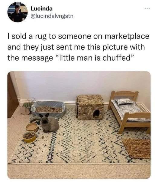 funny and svage memes - floor - Lucinda I sold a rug to someone on marketplace and they just sent me this picture with the message "little man is chuffed"