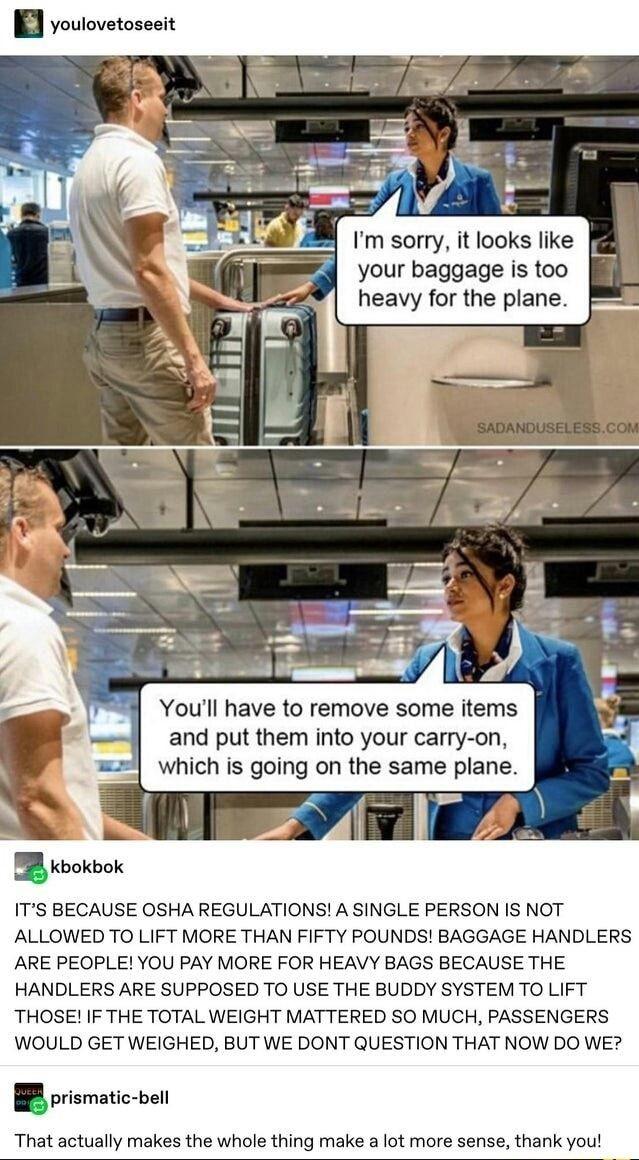 dank memes - limit on luggage weight - youlovetoseeit Queer kbokbok I'm sorry, it looks your baggage is too heavy for the plane. Sadanduseless.Com You'll have to remove some items and put them into your carryon, which is going on the same plane. It'S Beca