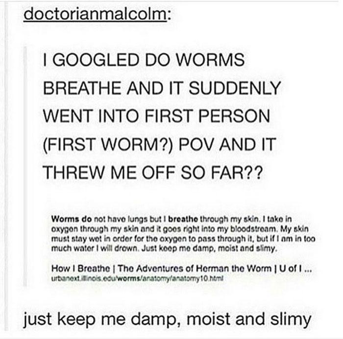 dank memes - wednesday memes - doctorianmalcolm I Googled Do Worms Breathe And It Suddenly Went Into First Person First Worm? Pov And It Threw Me Off So Far?? Worms do not have lungs but I breathe through my skin. I take in oxygon through my skin and it g