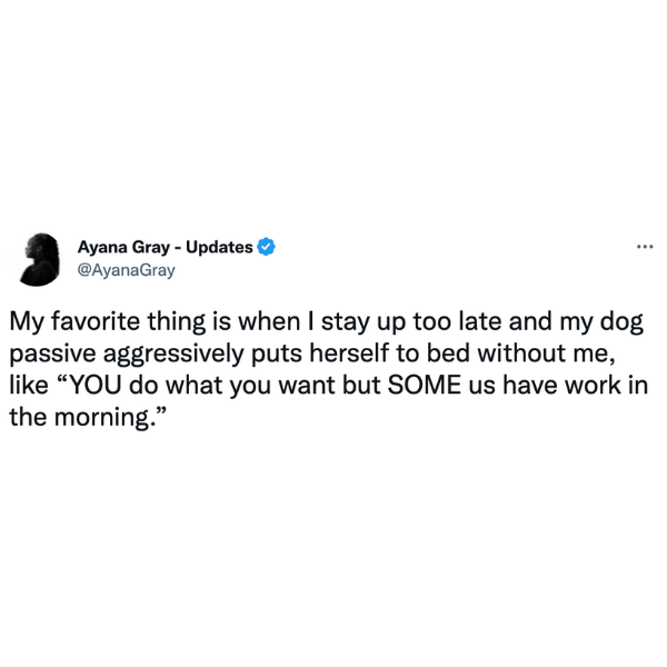 dank memes - ve been building my sons trust - Ayana Gray Updates ... My favorite thing is when I stay up too late and my dog passive aggressively puts herself to bed without me,