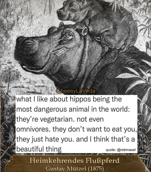dank memes - Hippo - CheesyLaVeda what I about hippos being the most dangerous animal in the world they're vegetarian. not even omnivores. they don't want to eat you, they just hate you. and I think that's a beautiful thing quote Heimkehrendes Flupferd Gu