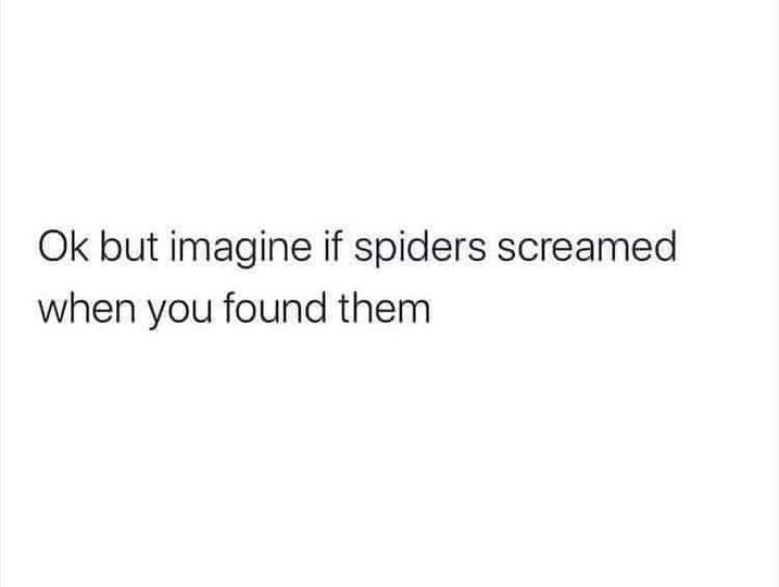 dank memes - you never know how long a minute - Ok but imagine if spiders screamed when you found them
