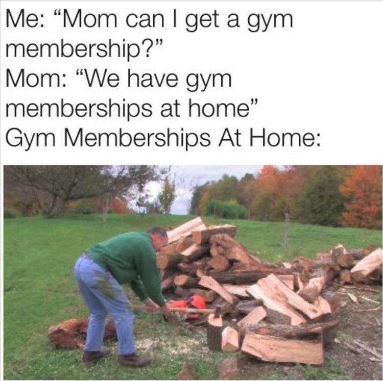 tree - Me "Mom can I get a gym membership?" Mom "We have gym memberships at home" Gym Memberships At Home