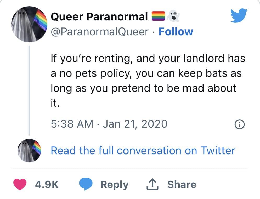 funny pics and memes - angle - Queer Paranormal . If you're renting, and your landlord has a no pets policy, you can keep bats as long as you pretend to be mad about it. Read the full conversation on Twitter