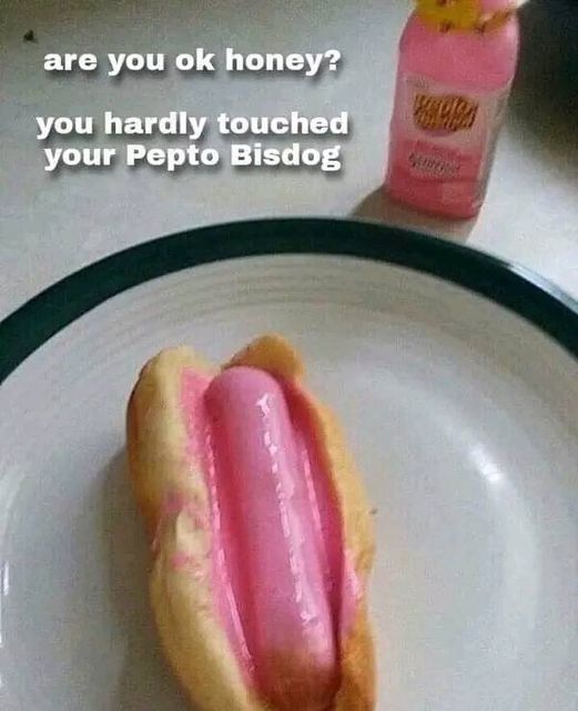 funny memes and pics - pepto hotdog - are you ok honey? you hardly touched your Pepto Bisdog