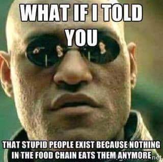 funny memes and pics - cool facebook - What If I Told You That Stupid People Exist Because Nothing In The Food Chain Eats Them Anymore net