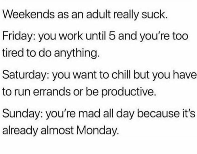 funny memes and pics - Amoebiasis - Weekends as an adult really suck. Friday you work until 5 and you're too tired to do anything. Saturday you want to chill but you have to run errands or be productive. Sunday you're mad all day because it's already almo