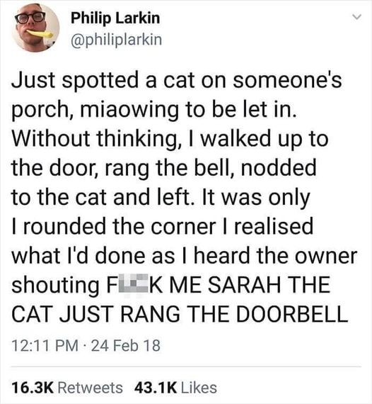 funny memes and pics - quotes - Philip Larkin Just spotted a cat on someone's porch, miaowing to be let in. Without thinking, I walked up to the door, rang the bell, nodded to the cat and left. It was only I rounded the corner I realised what I'd done as 