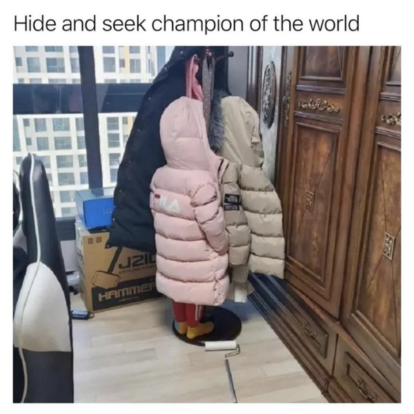 funny memes and pics - fur - Hide and seek champion of the world J210 Hammer