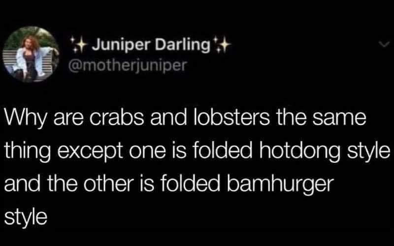 funny memes and pics - Juniper Darling Why are crabs and lobsters the same thing except one is folded hotdong style and the other is folded bamhurger style