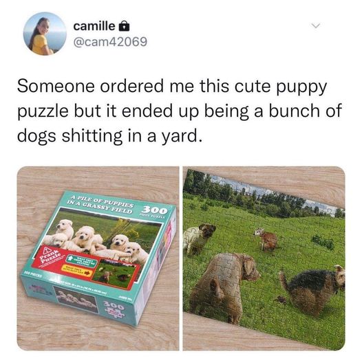 fauna - Someone ordered me this cute puppy puzzle but it ended up being a bunch of dogs shitting in a yard. A Your M camille Ne Peces A Pile Of Puppies In A Grassy Field Steel 300 300 Prte Portle