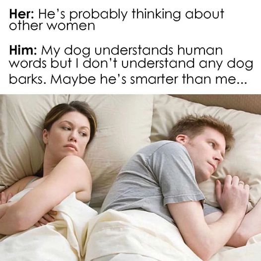 photo caption - Her He's probably thinking about other women Him My dog understands human words but I don't understand any dog barks. Maybe he's smarter than me...